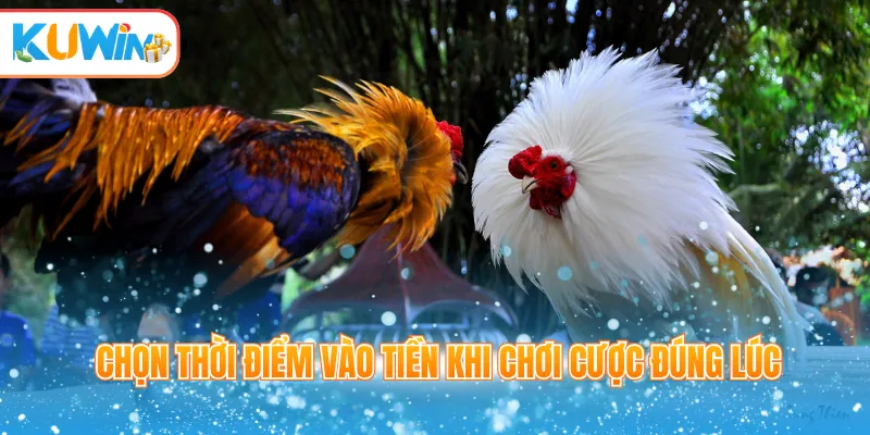 Chọn thời điểm vào tiền khi chơi cược đúng lúc