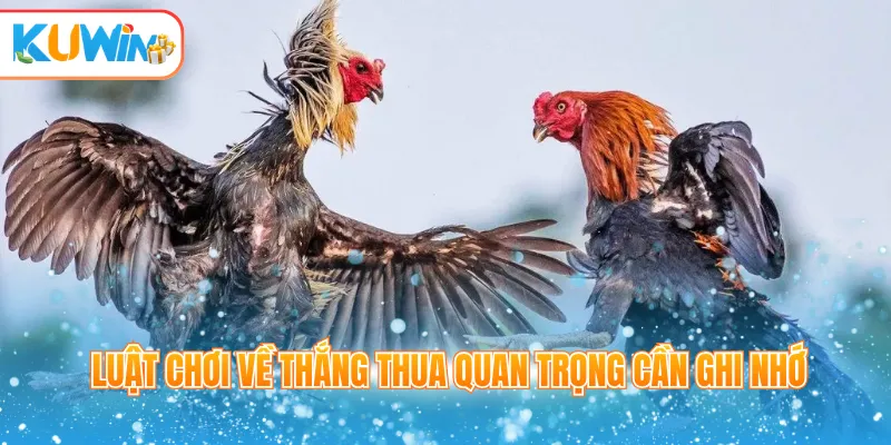 Luật chơi về thắng thua quan trọng cần ghi nhớ