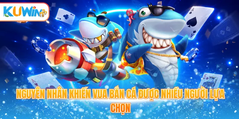 Nguyên nhân khiến Vua bắn cá được nhiều người lựa chọn