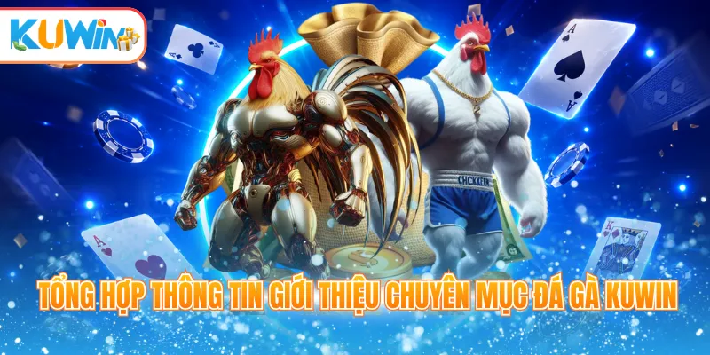 Tổng hợp thông tin giới thiệu chuyên mục đá gà Kuwin